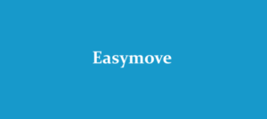 easy move logo design for transportation logistics industry