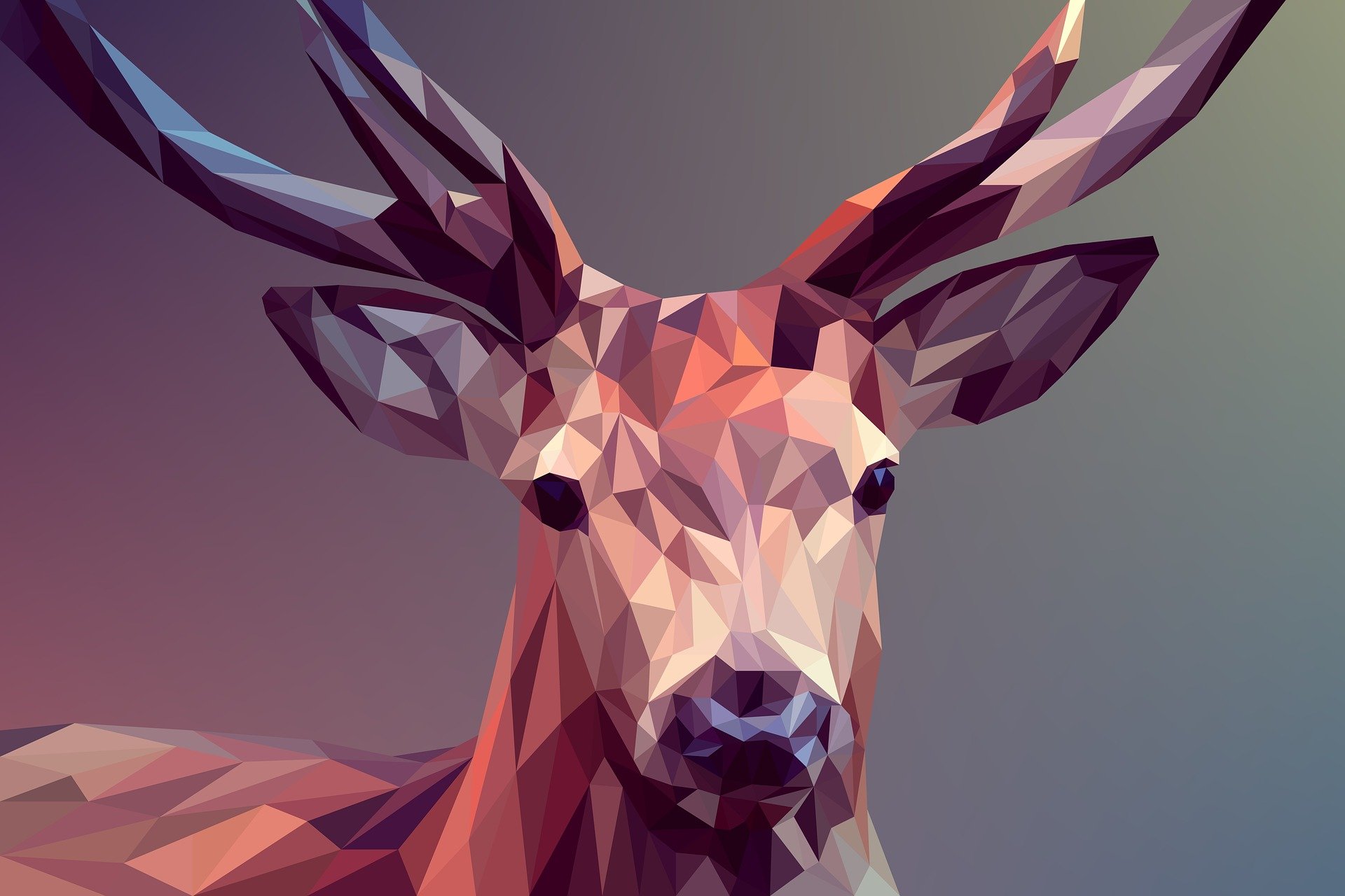 Types Of Graphic Designs And Their Usage