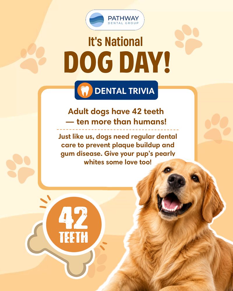 Pathway Dental Group Dog Day Social Media Design