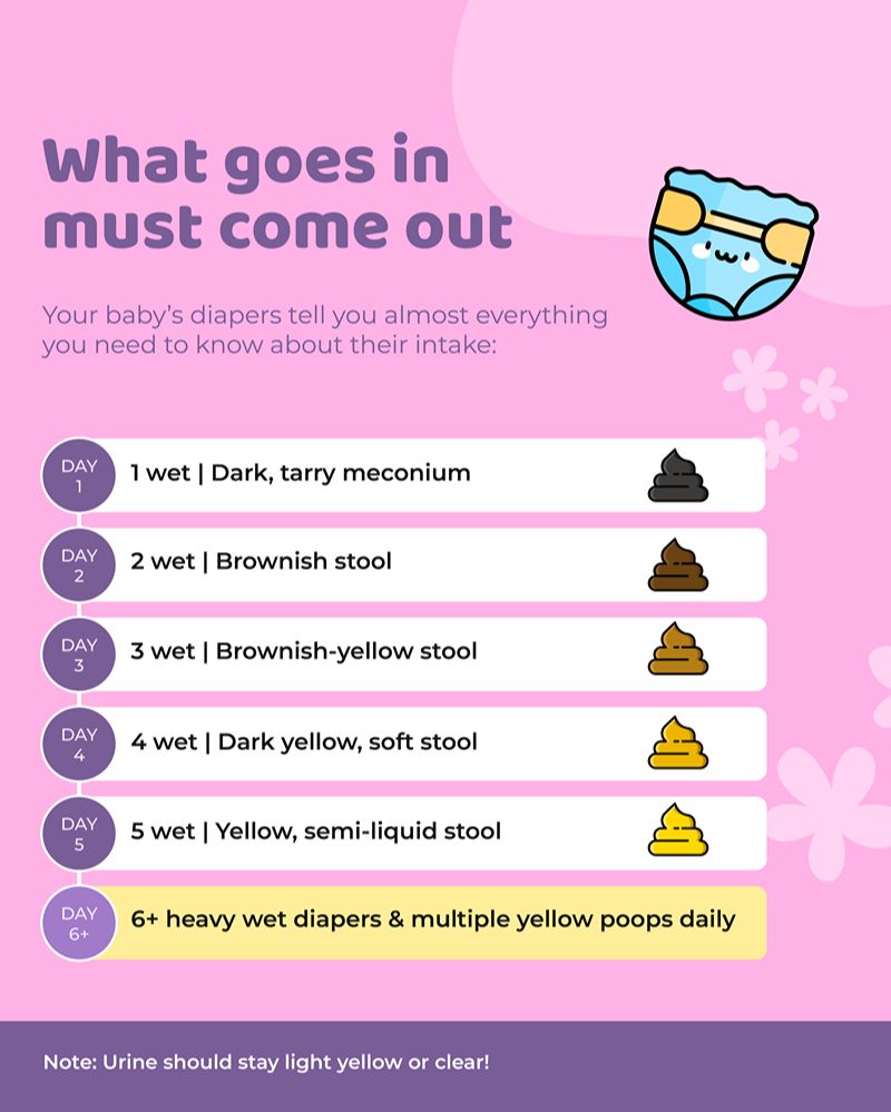 Newborn diaper output guide with day-by-day stool changes.